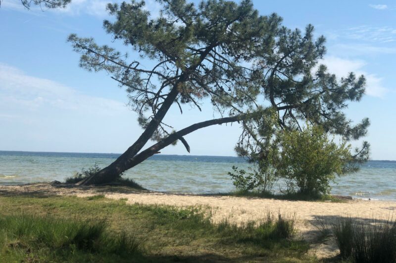 Düne 2022 / Tag 10, kein Wind, just Relax for me, oder Radeln for the rest ;-)