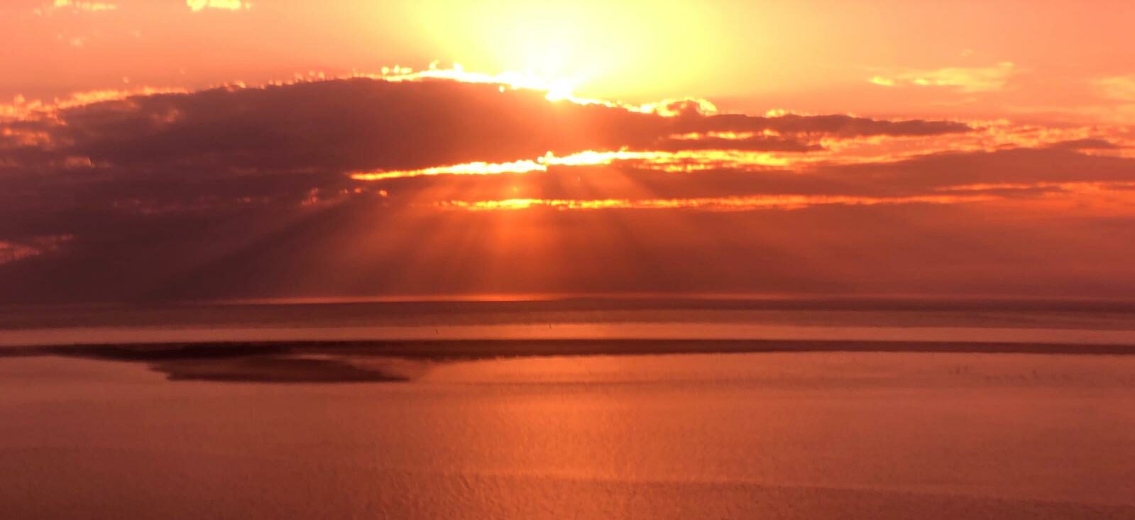 header-image
